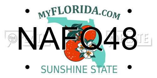 NAFQ48 Florida License Plate