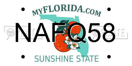 NAFQ58 Florida License Plate