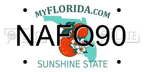 NAFQ90 Florida License Plate