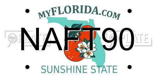 NAFT90 Florida License Plate