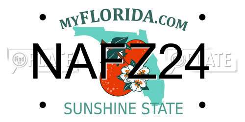 NAFZ24 Florida License Plate