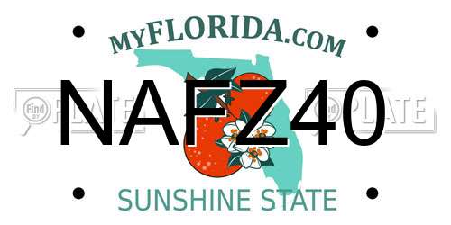 NAFZ40 Florida License Plate