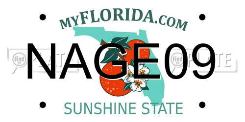 NAGE09 Florida License Plate