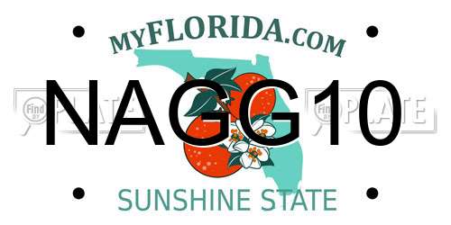 NAGG10 Florida License Plate