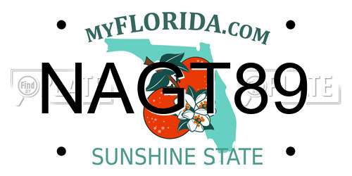 NAGT89 Florida License Plate