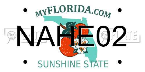 NAHE02 Florida License Plate