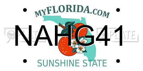 NAHG41 Florida License Plate