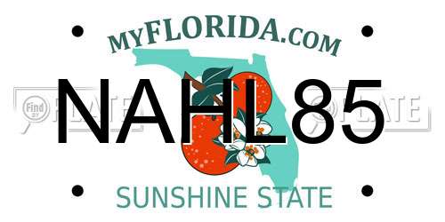 NAHL85 Florida License Plate