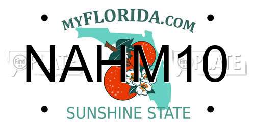 NAHM10 Florida License Plate