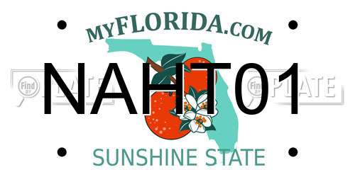 NAHT01 Florida License Plate