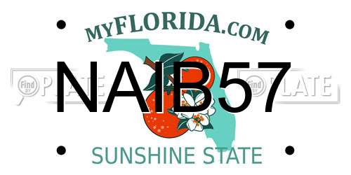 NAIB57 Florida License Plate