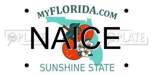 NAICE Florida License Plate