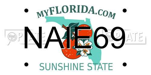 NAIE69 Florida License Plate
