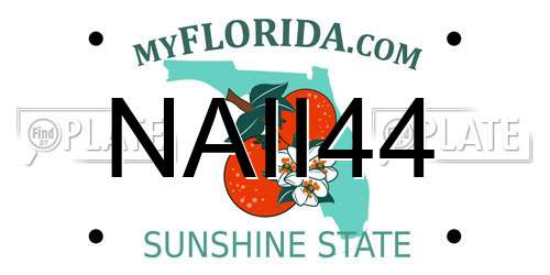 NAII44 Florida License Plate