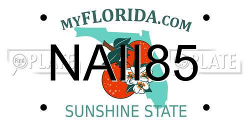 NAII85 Florida License Plate