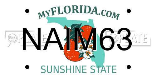 NAIM63 Florida License Plate