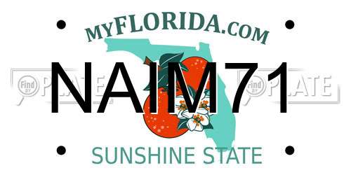 NAIM71 Florida License Plate