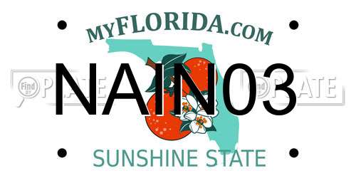 NAIN03 Florida License Plate