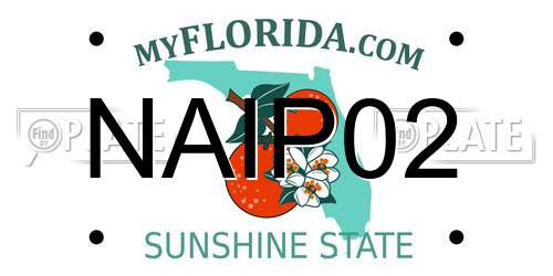 NAIP02 Florida License Plate
