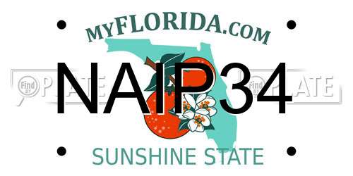 NAIP34 Florida License Plate