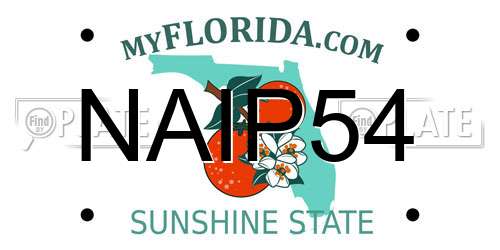 NAIP54 Florida License Plate