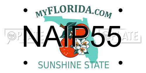 NAIP55 Florida License Plate