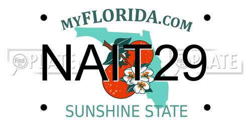 NAIT29 Florida License Plate