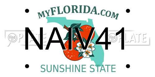 NAIV41 Florida License Plate