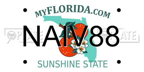 NAIV88 Florida License Plate