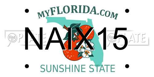 NAIX15 Florida License Plate