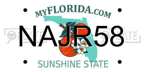 NAJR58 Florida License Plate