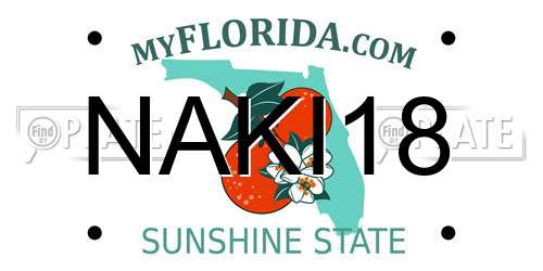NAKI18 Florida License Plate