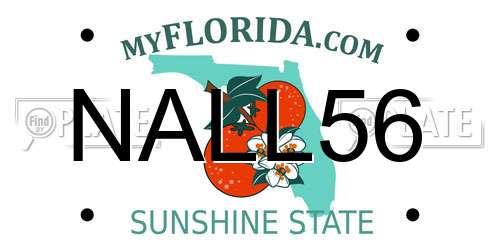 NALL56 Florida License Plate