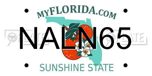 NALN65 Florida License Plate