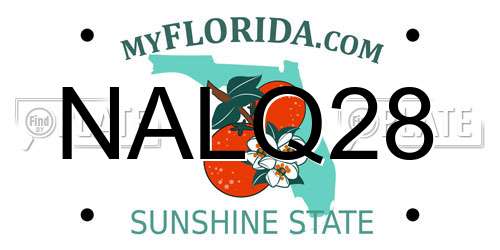 NALQ28 Florida License Plate