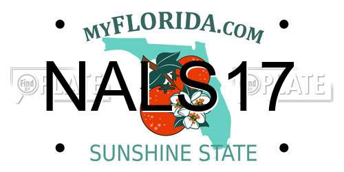 NALS17 Florida License Plate