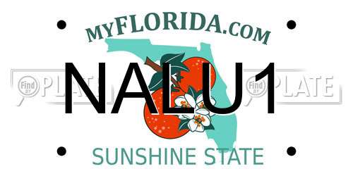 NALU1 Florida License Plate