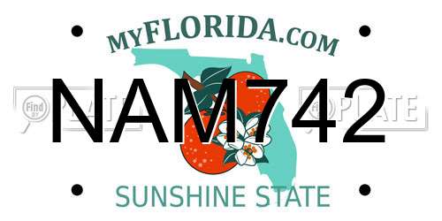 NAM742 Florida License Plate