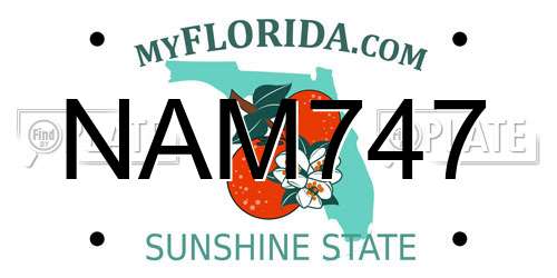 NAM747 Florida License Plate