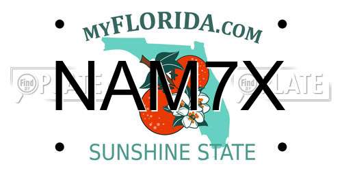NAM7X Florida License Plate