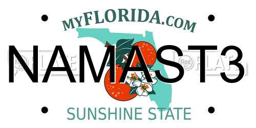 NAMAST3 Florida License Plate