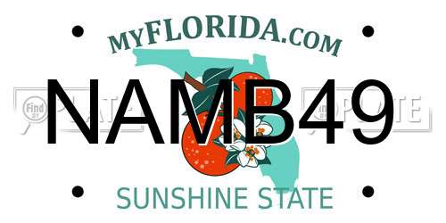 NAMB49 Florida License Plate