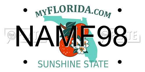 NAMF98 Florida License Plate
