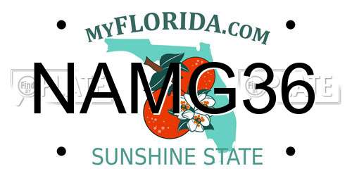 NAMG36 Florida License Plate