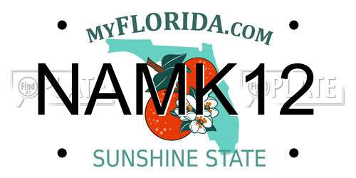 NAMK12 Florida License Plate