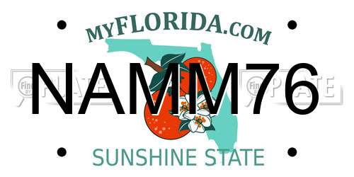 NAMM76 Florida License Plate