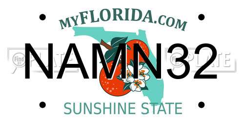NAMN32 Florida License Plate