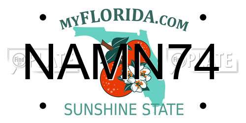 NAMN74 Florida License Plate
