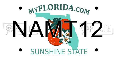 NAMT12 Florida License Plate