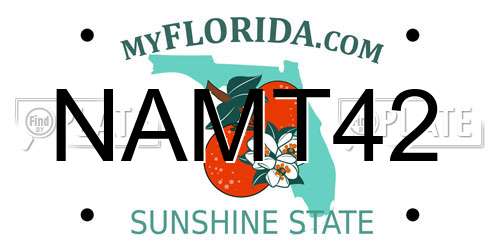 NAMT42 Florida License Plate